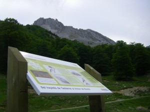 Itinerarios ornitológicos en la Comarca de la Jacetania