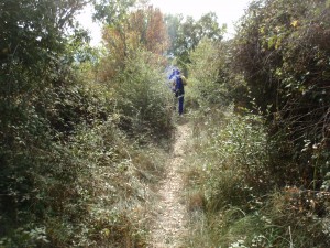 Camino Almazorre-Lecina, antes del desbroce