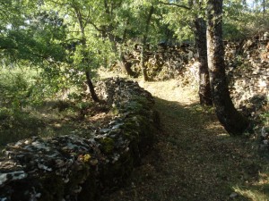 Desbroce en el camino de Lecina a Betorz