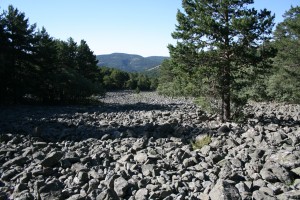 Río de piedra en los tremedales de Orihuela del Tremedal